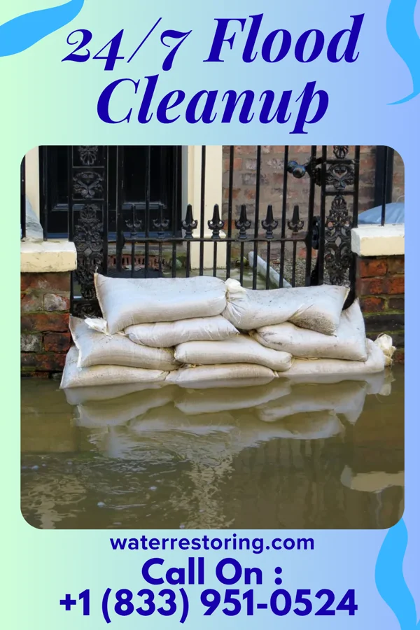 24/7 Flood Cleanup in Odin, MN