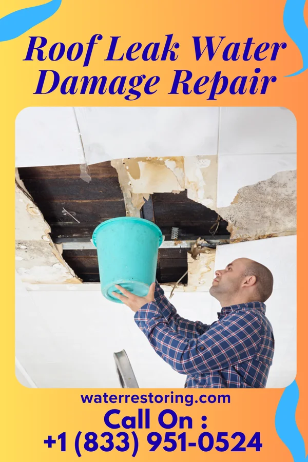 Roof Leak Water Damage Repair in Odin, MN
