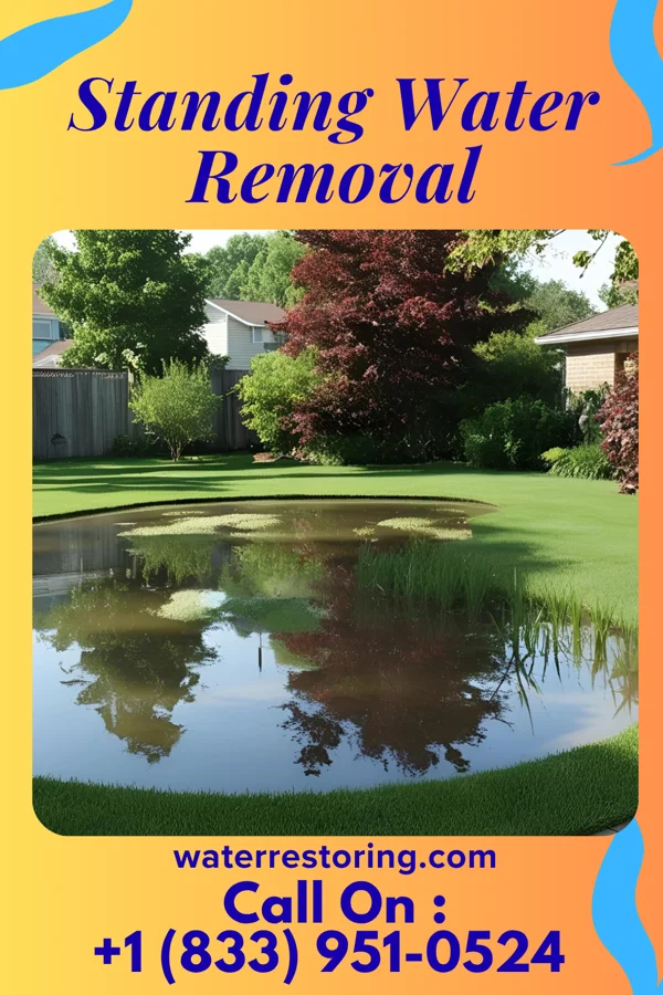 Standing Water Removal in Odin, MN